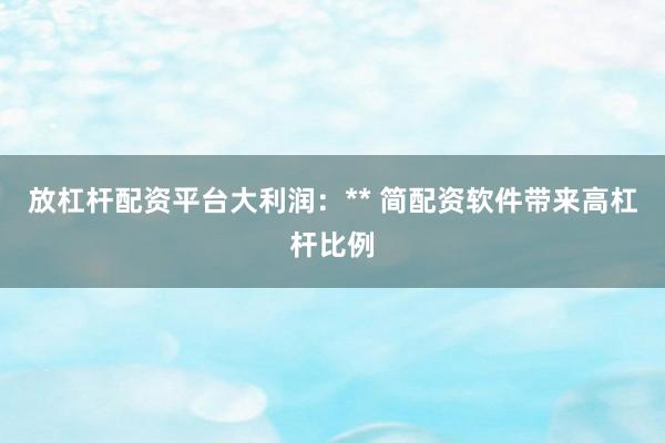 放杠杆配资平台大利润：** 简配资软件带来高杠杆比例
